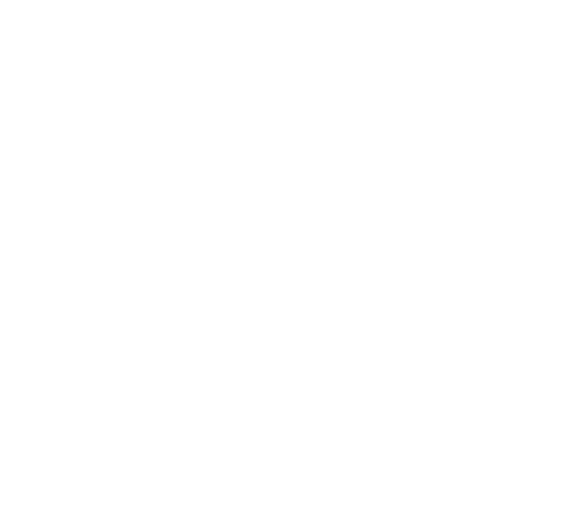 Narmiva